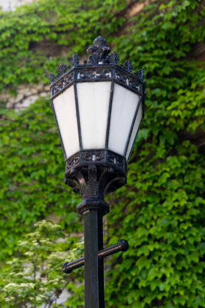 istock Big black metal lamp in the park 690224470