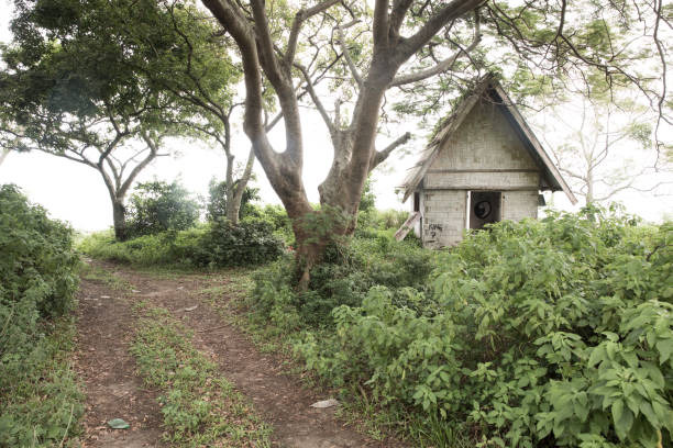 istock Abandoned Fiji Hut 690236582