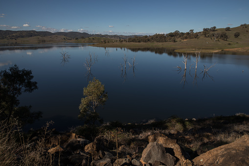 Dead trees are seen in the waters of Lake Windamere near Mudgee NSW Australia