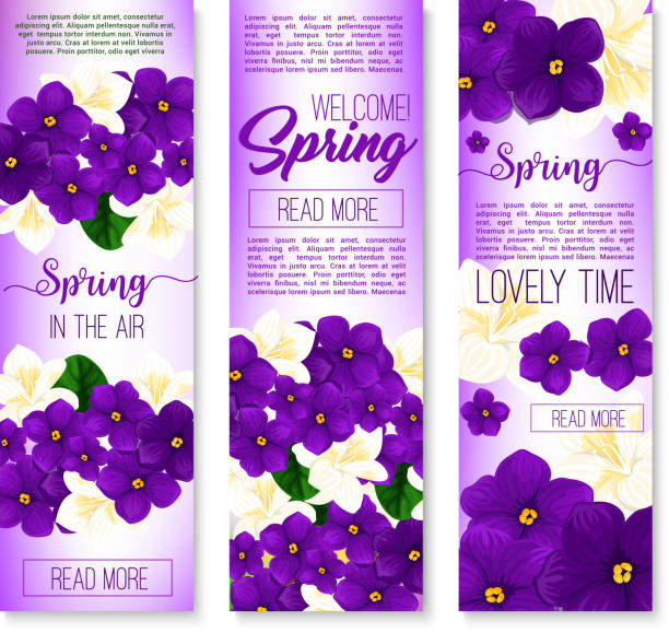 Spring flower welcome banner set design Spring flower welcome banner set. Blooming flowers of crocus, violet and jasmine branch with green leaves. Spring season holidays greeting card, springtime celebrations invitation flyer design 24407 stock illustrations