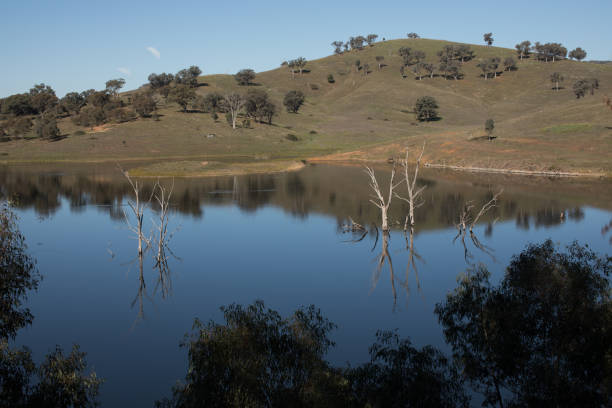 istock Lake Windamere - Mudgee NSW Australia 690247086