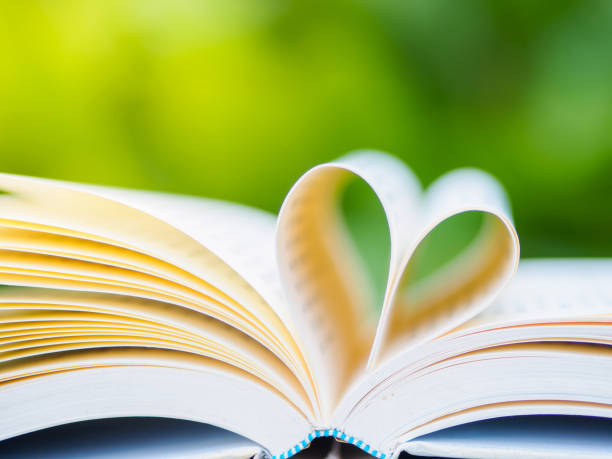 istock book on table in garden with top one opened and pages forming heart shape 690247588
