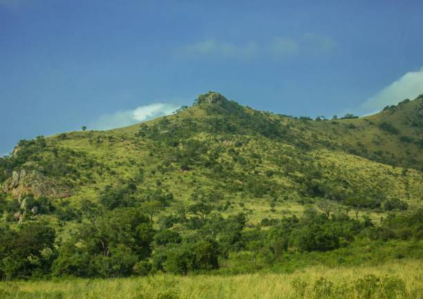 istock Landscape at the Hluhluwe Nationalpark 690252076