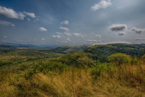 istock Landscape at the Hluhluwe Nationalpark 690254616