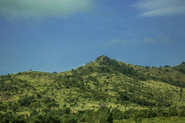 istock Landscape at the Hluhluwe Nationalpark 690254724