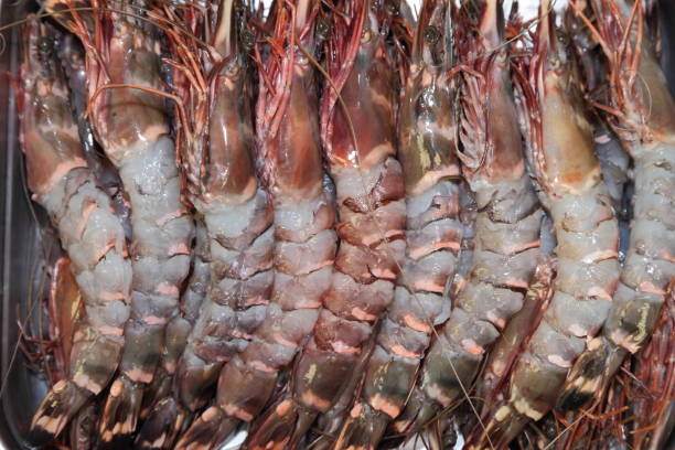 istock Prawns. Seafood. Shrimps. 690255616