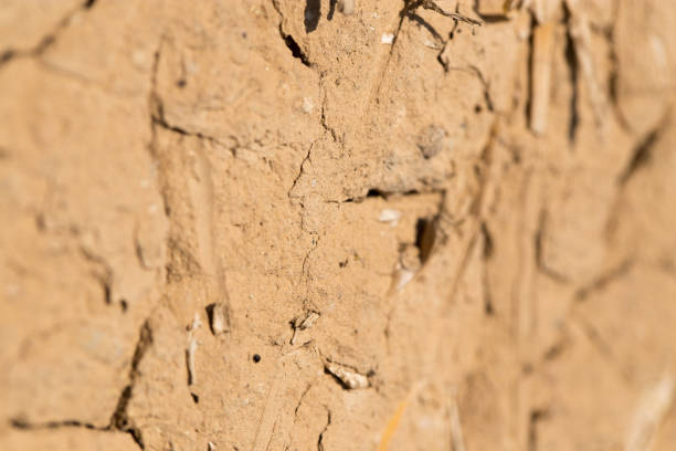 istock background of clay wall 690258866