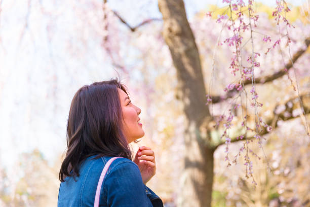 istock Japanese woman in spring 690259204