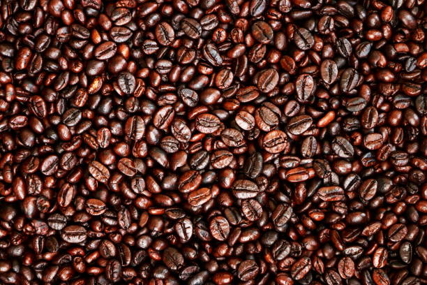 istock Mixture of different kinds of coffee beans 690259236