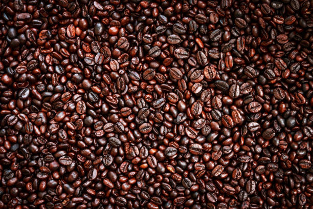 istock Mixture of different kinds of coffee beans 690259262