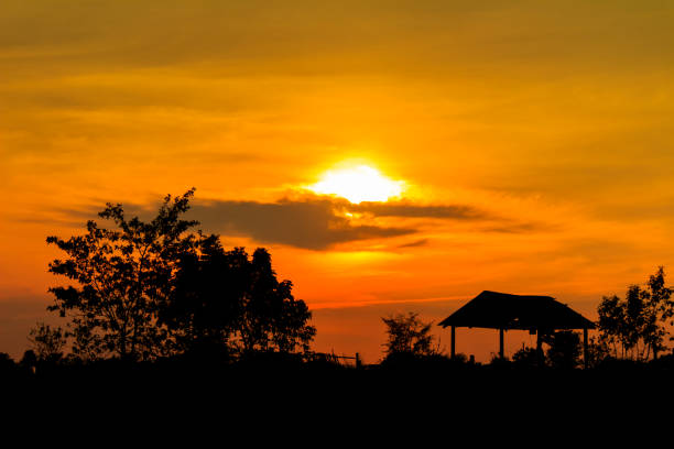 istock sunset with a trees silhouette at sunset 690260058