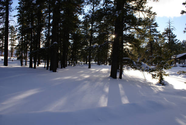 istock Bryce Canyon during Winter Season 690269758