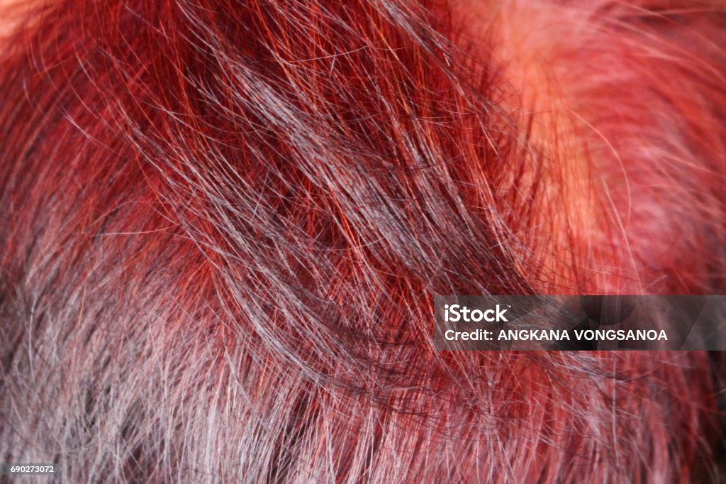 старые волосатые Рыжие Волосы Стиль Старых Женщин Крупным Планом Фон — стоковые фотографии и другие картинки Взрослый - iStock