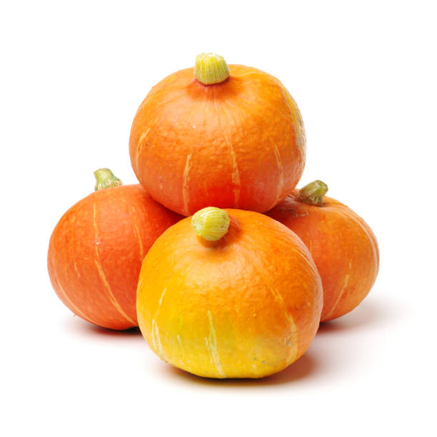 istock Hokkaido pumpkins  on a white background 690288396