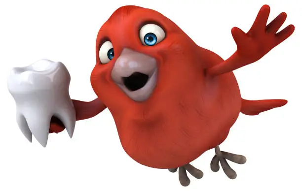 Photo of Red bird