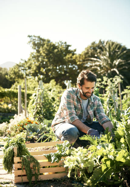 istock Gardeners are down to earth 690299264