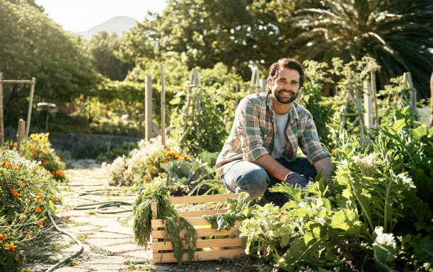 istock The crops are starting to roll in 690299270