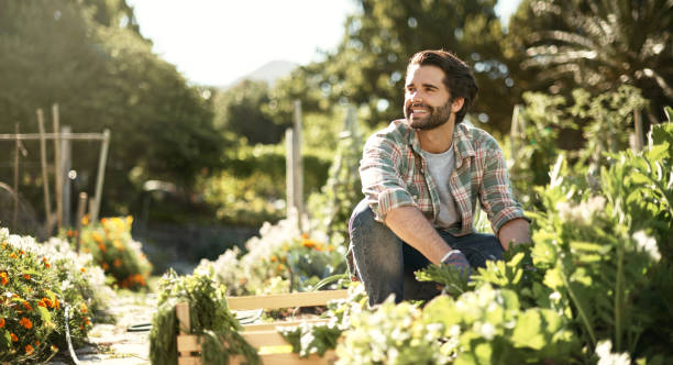 istock Gardening - give a little, take a little 690299276
