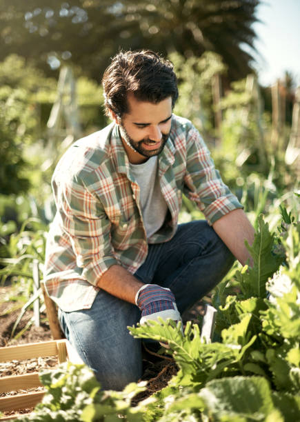 istock What a healthy hobby to have 690299282