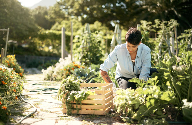 istock Getting hands on in healthy living 690299286