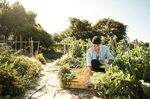 istock Get your hands dirty and live clean 690299294