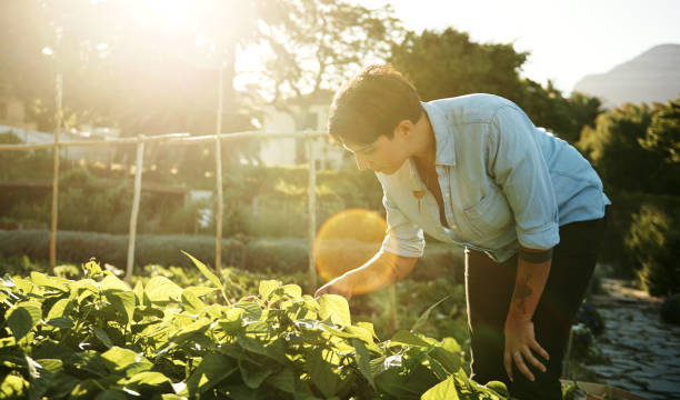 istock Not a plant out of place 690299380