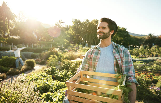 istock He came, he sowed, he reaped 690299392