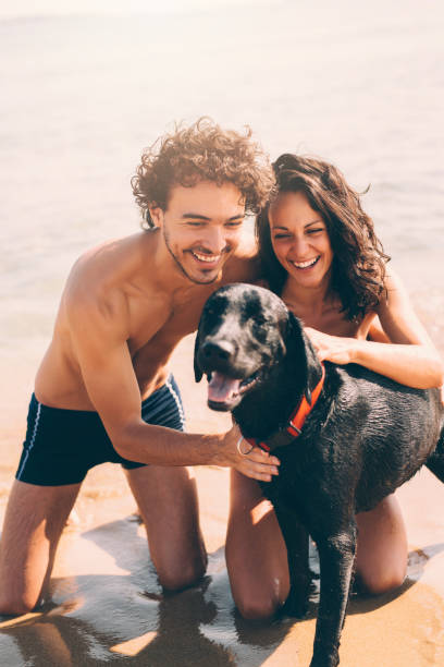 istock Couple with a dog at the beach 690303234