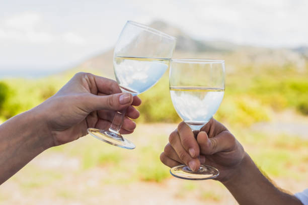 istock Couple clinking wine glasses outside 690303906
