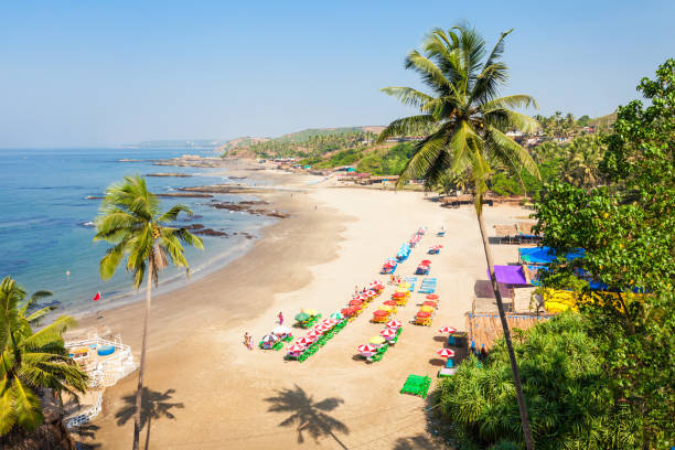 Beach in Goa, India Vagator or Ozran beach aerial panoramic view in north Goa, India palolem beach stock pictures, royalty-free photos & images