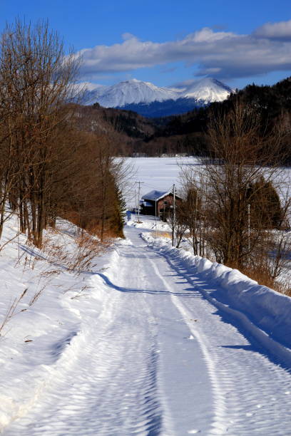 istock Winter landscape of Hokkaido 690322800