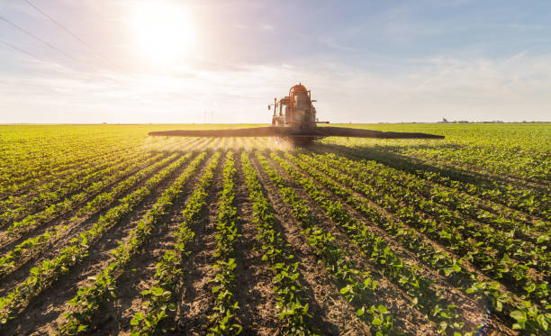 istock Tractor spraying pesticides on soybean field  with sprayer at spring 690322850