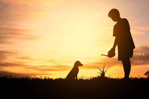 istock Silhouette child dog share a tree, Concept play with dog. 690326382