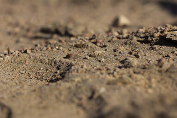 istock background of soil and sand 690326410