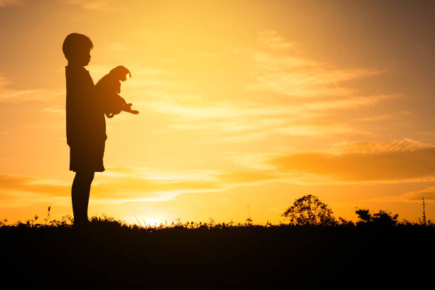istock Silhouette child playing with dogs, Concept play with dog. 690326636