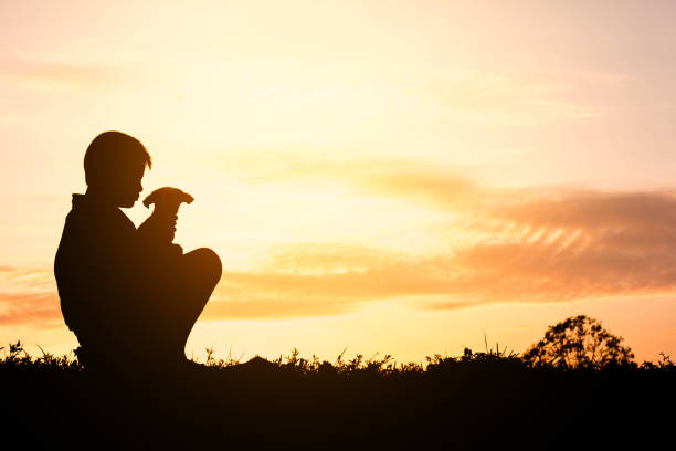 istock Silhouette child playing with dogs, Concept play with dog. 690326718