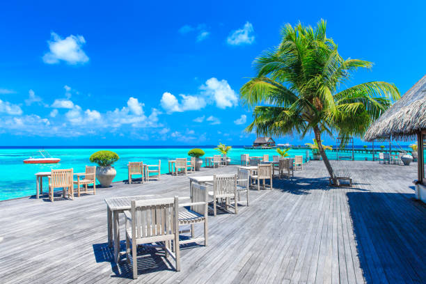istock tropical beach in Maldives 690332864