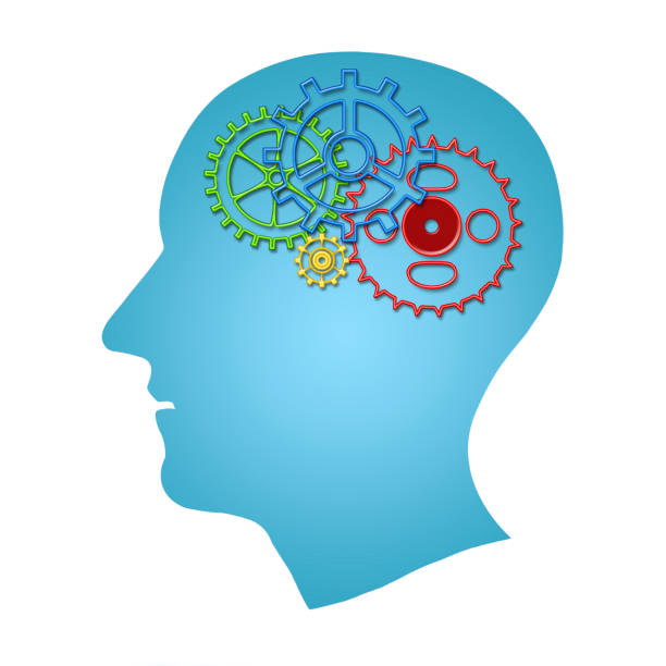 istock Brain works concept. Thinking, creativity concept of the human head with gears inside isolated over white background. 690336762