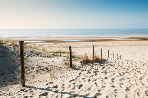 Sandy dunes on the sea coast in Noordwijk, Netherlands, Europe.