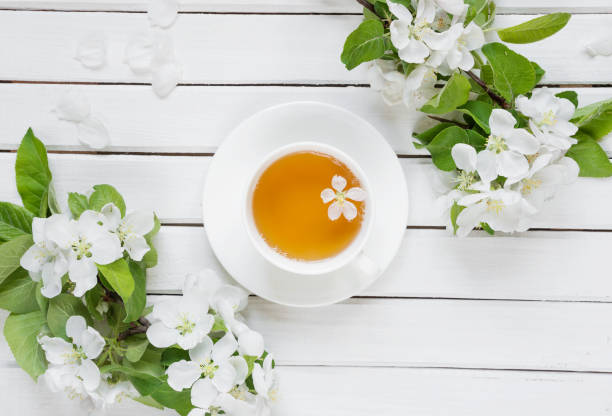 istock Green tea and apple-tree flowers 690339520