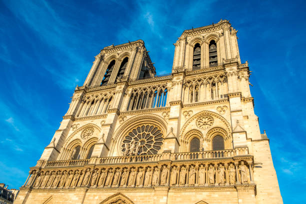 istock Notre-Dame de Paris in sunset during summer 690349356