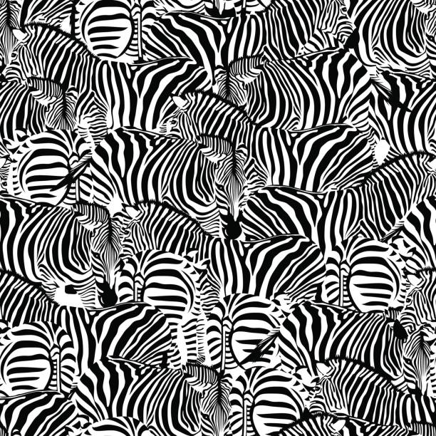 ilustrações de stock, clip art, desenhos animados e ícones de zebra seamless pattern. wild animal texture. - zebra