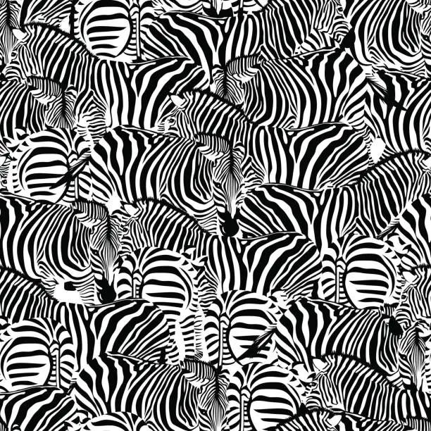 Vector illustration of Zebra seamless pattern. Wild animal texture.