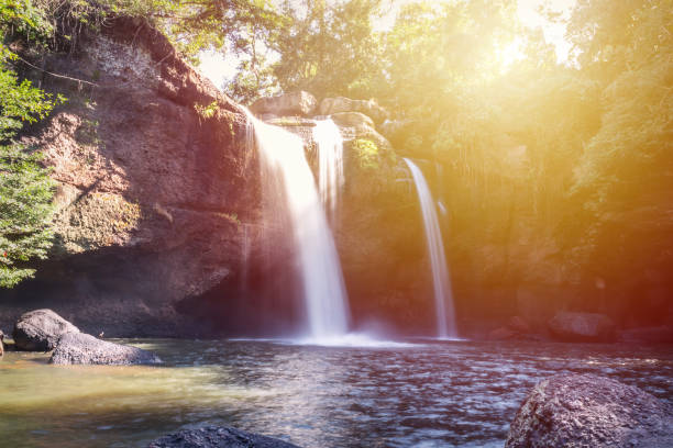 Amazing beautiful waterfalls in deep forest at Haew Suwat Waterfall in Khao Yai National Park, Thailand Amazing beautiful waterfalls in deep forest at Haew Suwat Waterfall in Khao Yai National Park, Thailand 7676 stock pictures, royalty-free photos & images