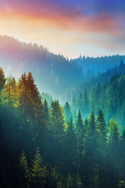 góry o wschodzie słońca - dolomity w południowym tyrolu, włochy - vertical panorama zdjęcia i obrazy z banku zdjęć