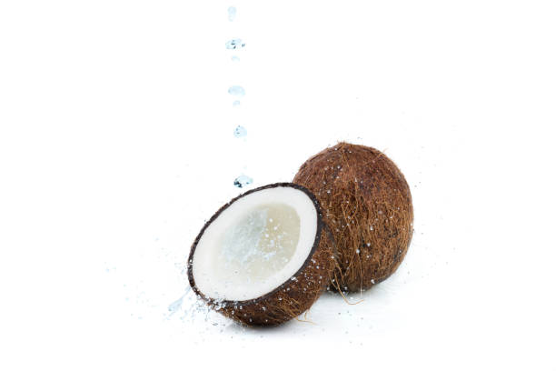 istock fresh ripe tropical coconuts with water isolated on white, coconut 690356952