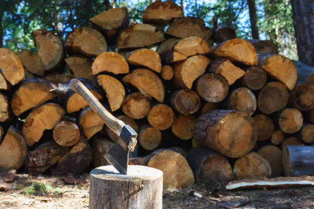 istock Old axe standing against a piled pieces of firewood 690357326