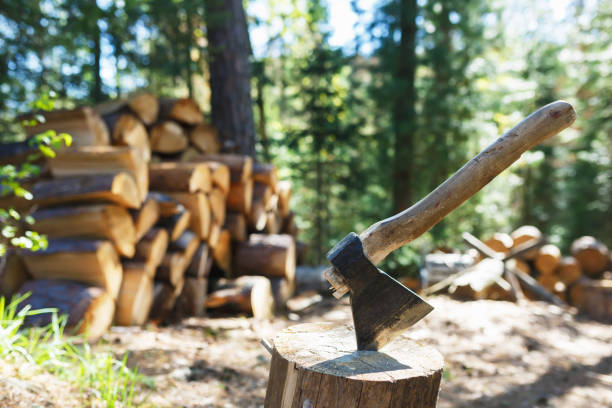 Old axe standing against a piled pieces of firewood Old axe standing against a piled pieces of firewood in wood axe stump stock pictures, royalty-free photos & images