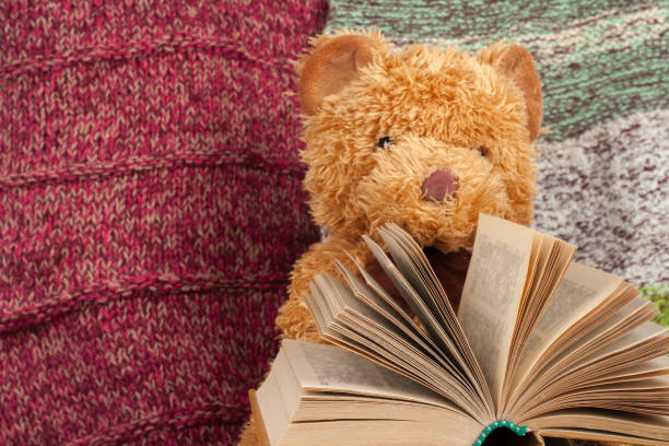 istock Back to school. Knitted blanket. Teddy bear reading a Open hardback book. Copy space for text 690357628