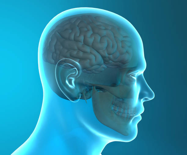istock Brain degenerative diseases, Parkinson, synapses, neurons, Alzheimer's, 690364334